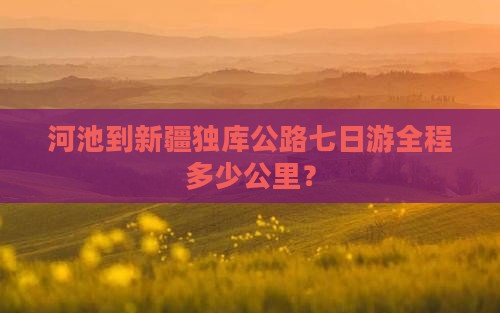 河池到新疆独库公路七日游全程多少公里？