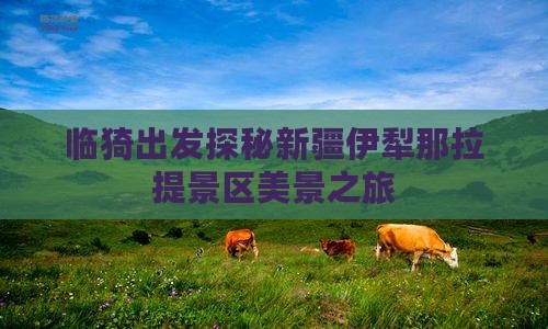 临猗出发探秘新疆伊犁那拉提景区美景之旅
