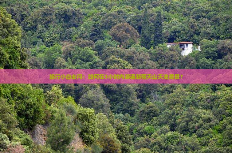 旅行小白必问：如何在3小时内游遍新疆天山天池美景？