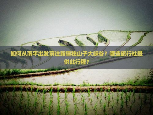 如何从南平出发前往新疆独山子大峡谷？哪些旅行社提供此行程？