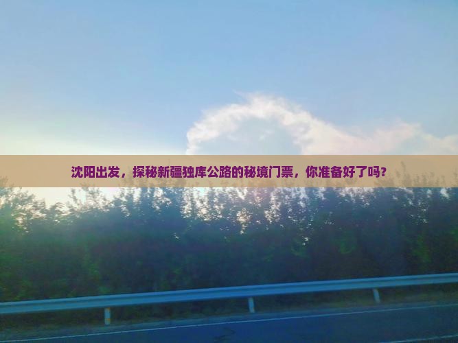 沈阳出发，探秘新疆独库公路的秘境门票，你准备好了吗？
