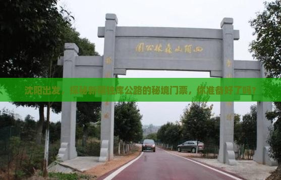 沈阳出发，探秘新疆独库公路的秘境门票，你准备好了吗？