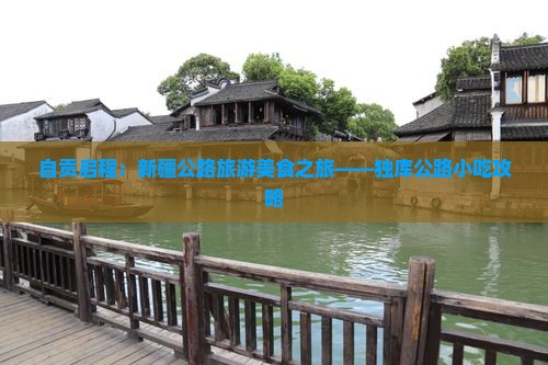 自贡启程：新疆公路旅游美食之旅——独库公路小吃攻略