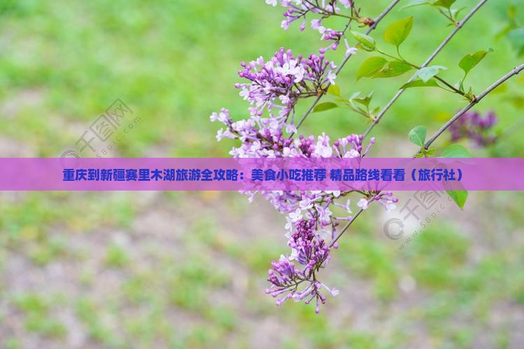重庆到新疆赛里木湖旅游全攻略：美食小吃推荐+精品路线看看（旅行社）