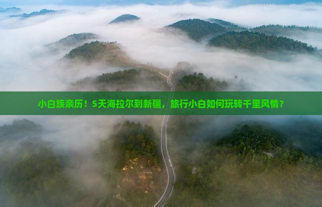 小白族亲历！5天海拉尔到新疆，旅行小白如何玩转千里风情？