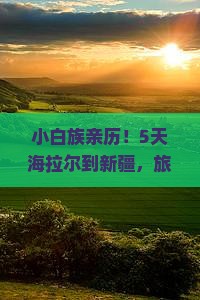小白族亲历！5天海拉尔到新疆，旅行小白如何玩转千里风情？