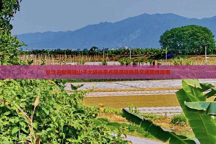 长沙去新疆独山子大峡谷景点旅游攻略及交通路线指南