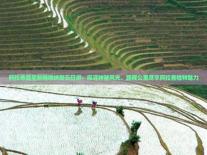 阿拉善盟至新疆喀纳斯五日游：探寻神秘风光，路程公里尽享阿拉善独特魅力