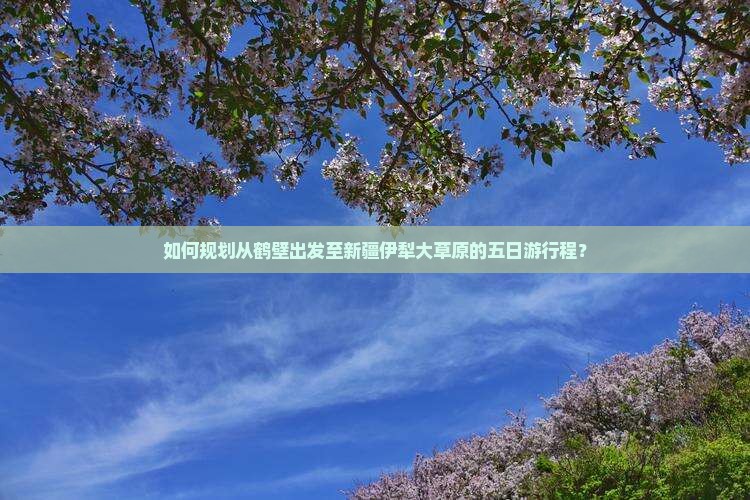 如何规划从鹤壁出发至新疆伊犁大草原的五日游行程？