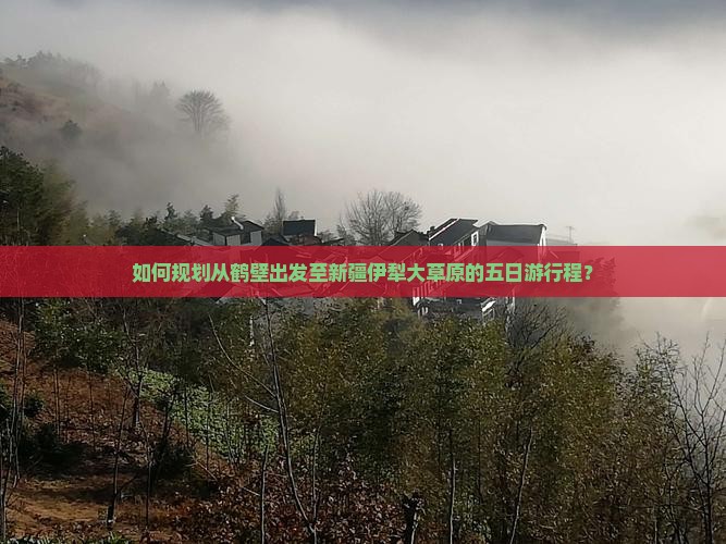 如何规划从鹤壁出发至新疆伊犁大草原的五日游行程？