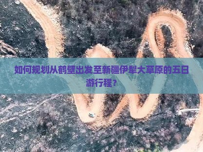 如何规划从鹤壁出发至新疆伊犁大草原的五日游行程？