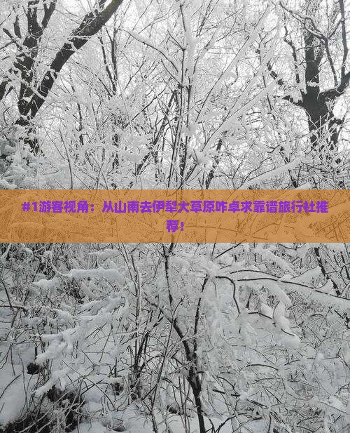 #1游客视角：从山南去伊犁大草原咋卓求靠谱旅行社推荐！