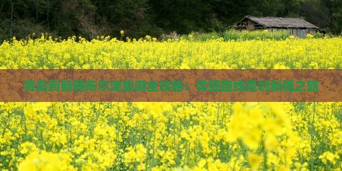 青岛到新疆布尔津旅游全攻略：详细路线规划新疆之旅