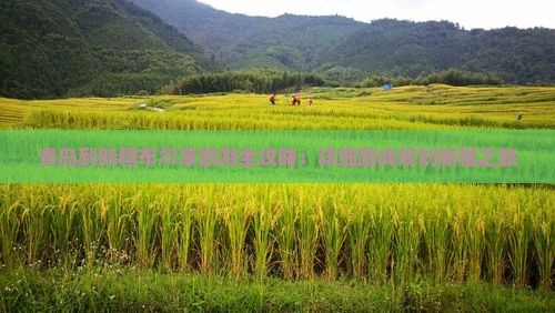 青岛到新疆布尔津旅游全攻略：详细路线规划新疆之旅