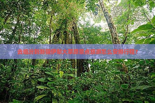 去临汾到新疆伊犁大草原景点旅游怎么安排行程？