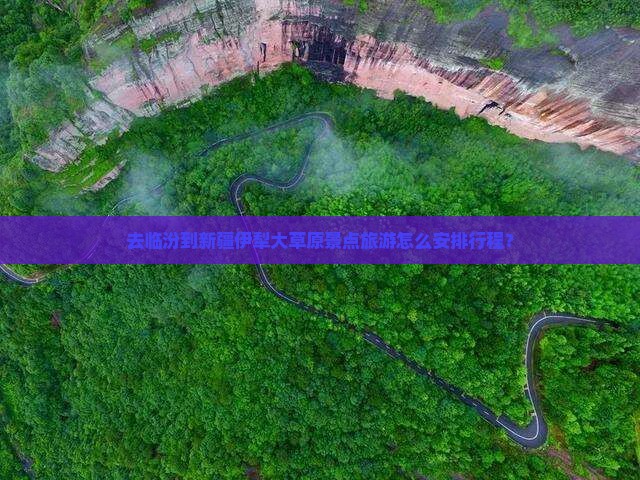 去临汾到新疆伊犁大草原景点旅游怎么安排行程？