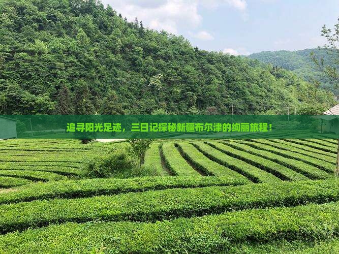 追寻阳光足迹，三日记探秘新疆布尔津的绚丽旅程！