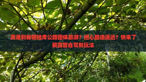 贵港到新疆独库公路团体旅游？担心路途遥远？快来了解露营自驾新玩法