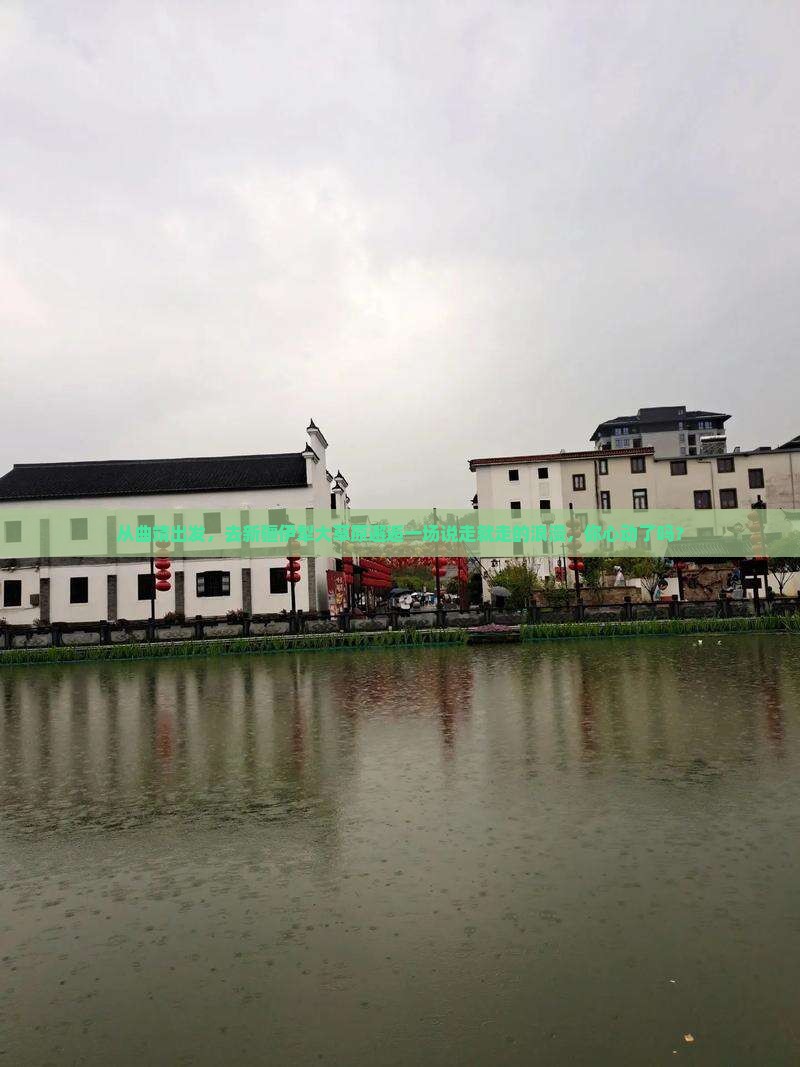 从曲靖出发，去新疆伊犁大草原邂逅一场说走就走的浪漫，你心动了吗？