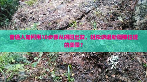 普通人如何用10步骤从揭阳出发，轻松游遍新疆那拉提的美景？