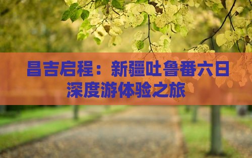 昌吉启程：新疆吐鲁番六日深度游体验之旅