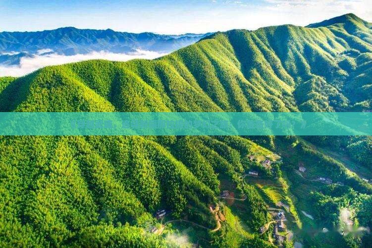 《穿越武威，追寻新疆那拉提的梦幻之旅：你准备好了吗？》