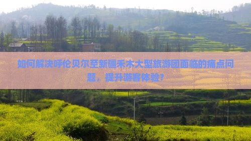 如何解决呼伦贝尔至新疆禾木大型旅游团面临的痛点问题，提升游客体验？