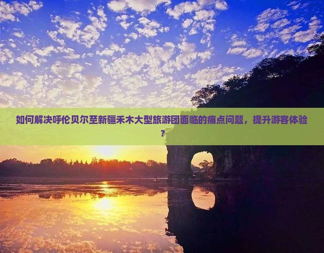 如何解决呼伦贝尔至新疆禾木大型旅游团面临的痛点问题，提升游客体验？