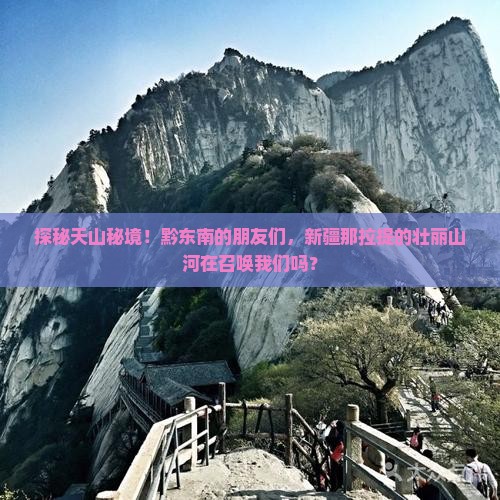 探秘天山秘境！黔东南的朋友们，新疆那拉提的壮丽山河在召唤我们吗？