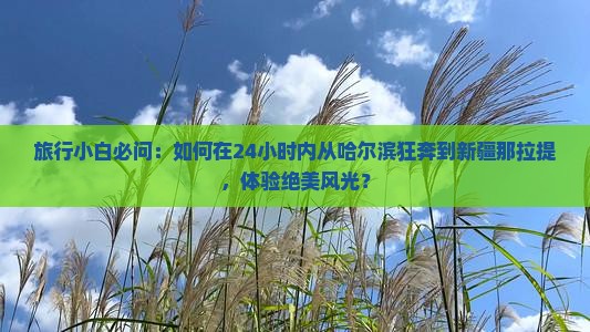 旅行小白必问：如何在24小时内从哈尔滨狂奔到新疆那拉提，体验绝美风光？