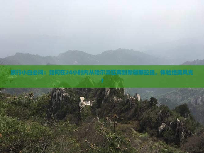 旅行小白必问：如何在24小时内从哈尔滨狂奔到新疆那拉提，体验绝美风光？