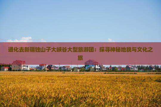 通化去新疆独山子大峡谷大型旅游团：探寻神秘地貌与文化之旅
