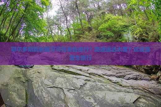 鄂尔多斯到新疆可可托海自由行？路途遥远太累？试试露营车旅行
