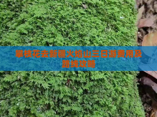 攀枝花去新疆火焰山三日游费用及路线攻略