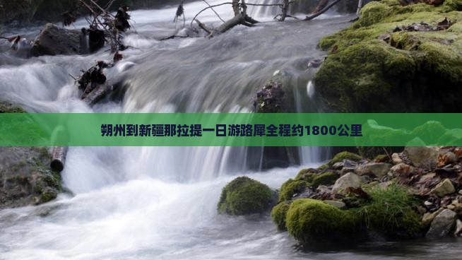 朔州到新疆那拉提一日游路犀全程约1800公里