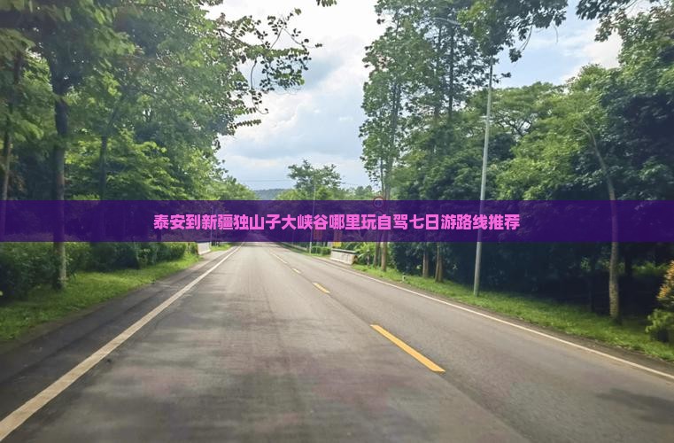 泰安到新疆独山子大峡谷哪里玩自驾七日游路线推荐