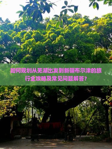 如何规划从芜湖出发到新疆布尔津的旅行全攻略及常见问题解答？