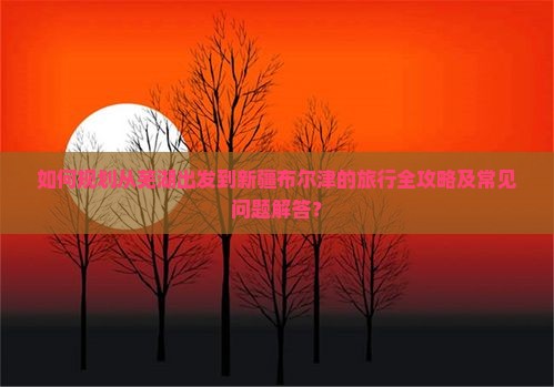 如何规划从芜湖出发到新疆布尔津的旅行全攻略及常见问题解答？