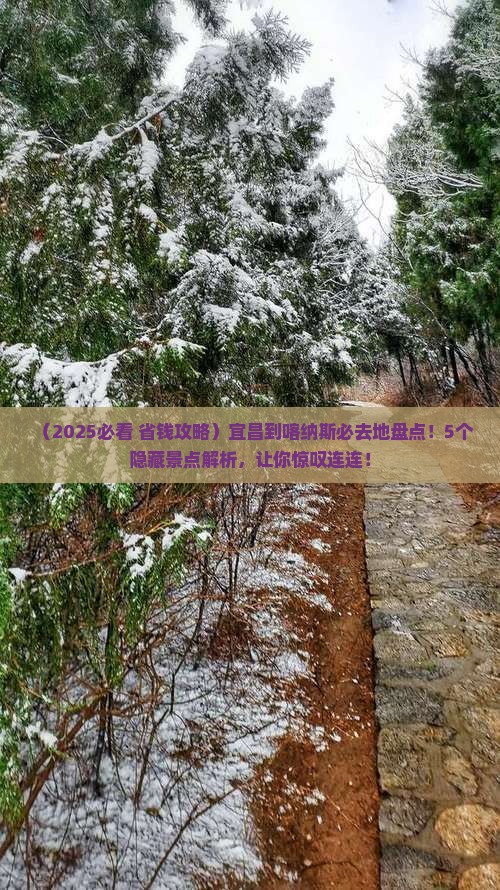 宜昌到新疆喀纳斯必去地