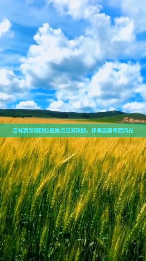 吉林到新疆那拉提景点
