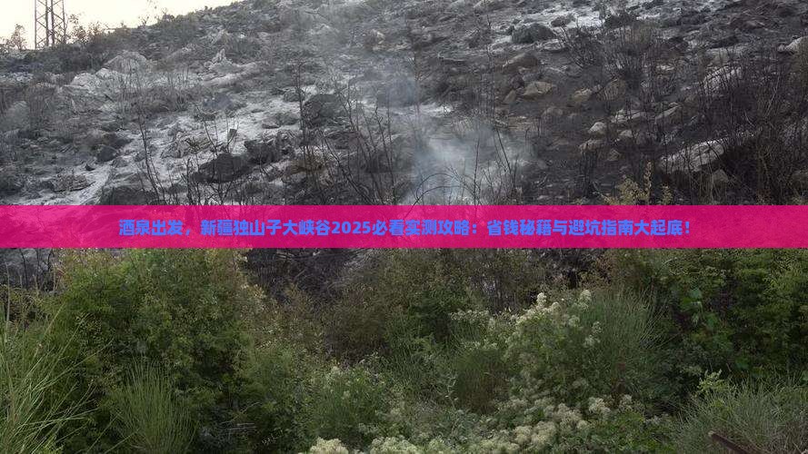 酒泉到新疆独山子大峡谷旅游