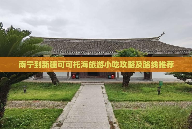 南宁到新疆可可托海旅游小吃
