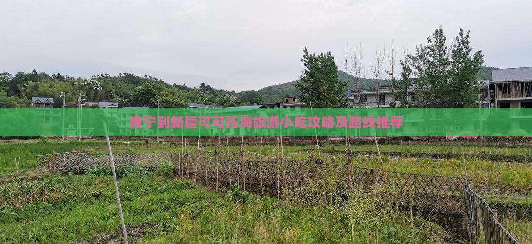 南宁到新疆可可托海旅游小吃
