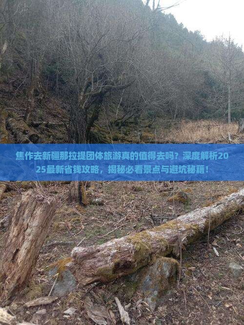 焦作去新疆那拉提团体旅游