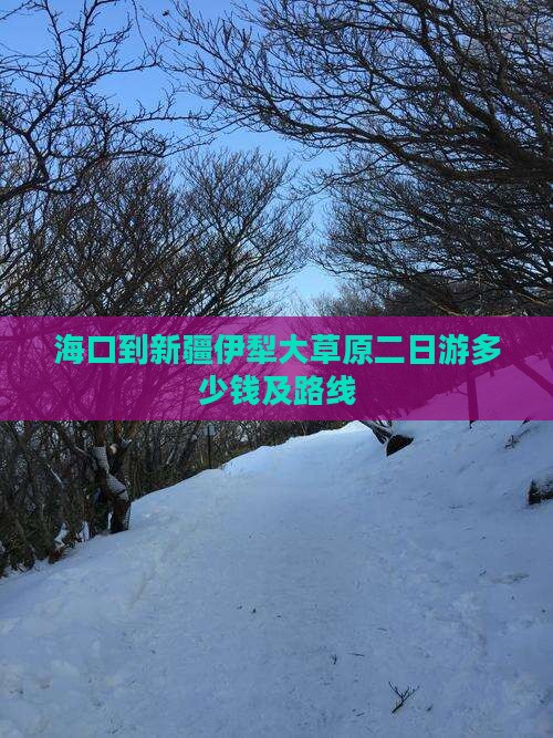 海口到新疆伊犁大草原二日游