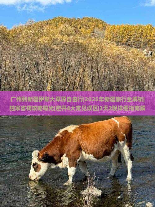广州到新疆伊犁大草原自由行