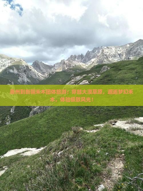 惠州到新疆禾木团体旅游