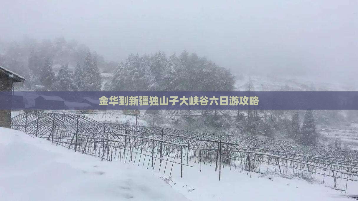 金华到新疆独山子大峡谷六日游