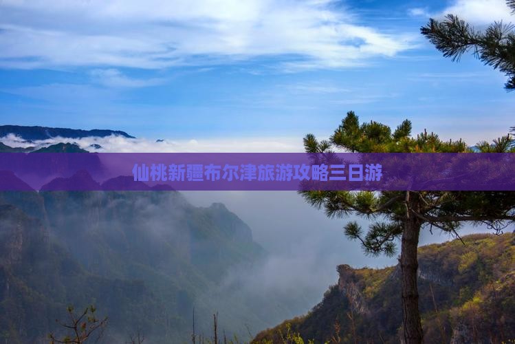 仙桃去新疆布尔津三日游