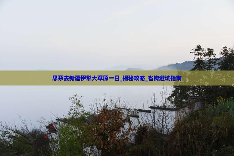 思茅去新疆伊犁大草原一日